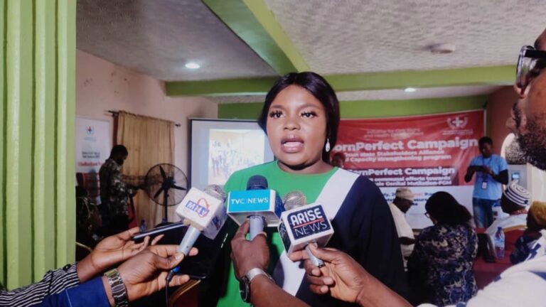 Read more about the article Bornperfect Stakeholders meeting, Osun State, Nigeria 