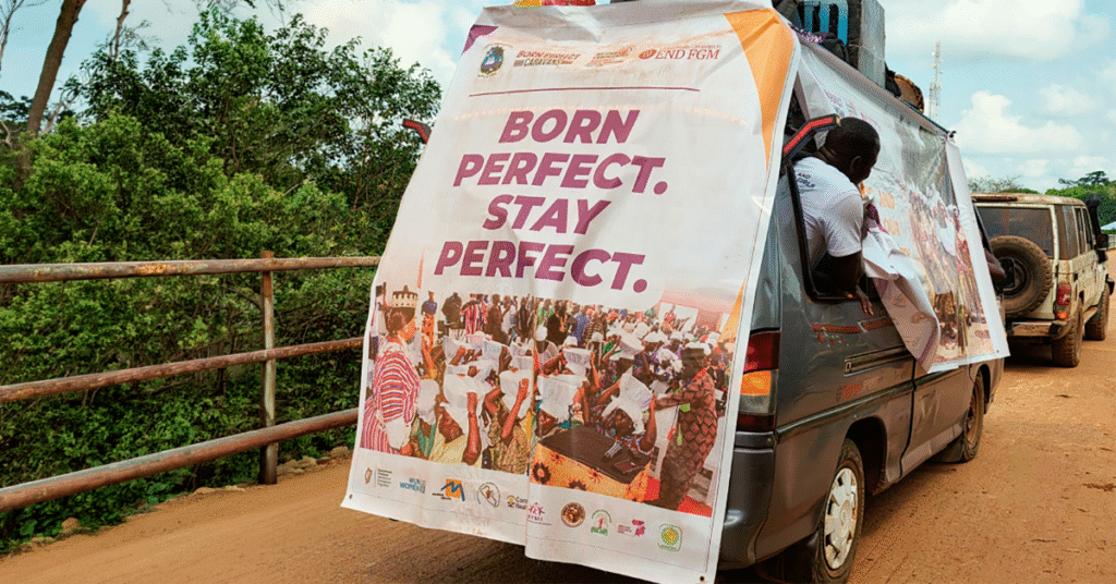 Impact Summary: What Works to End FGM