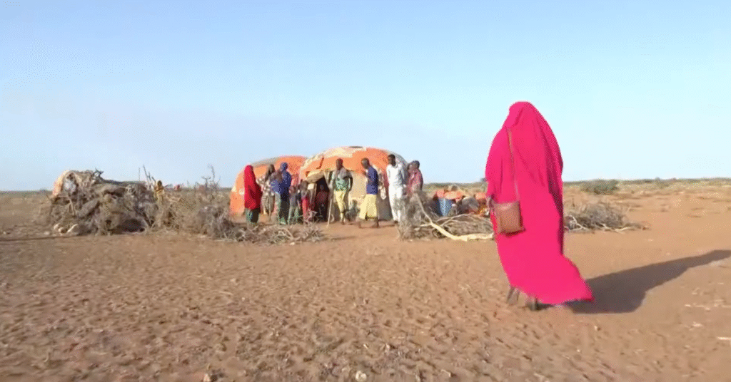 Germany backs Frontline Women to Bring FGM Ban the Last Mile in Kenya and Somalia