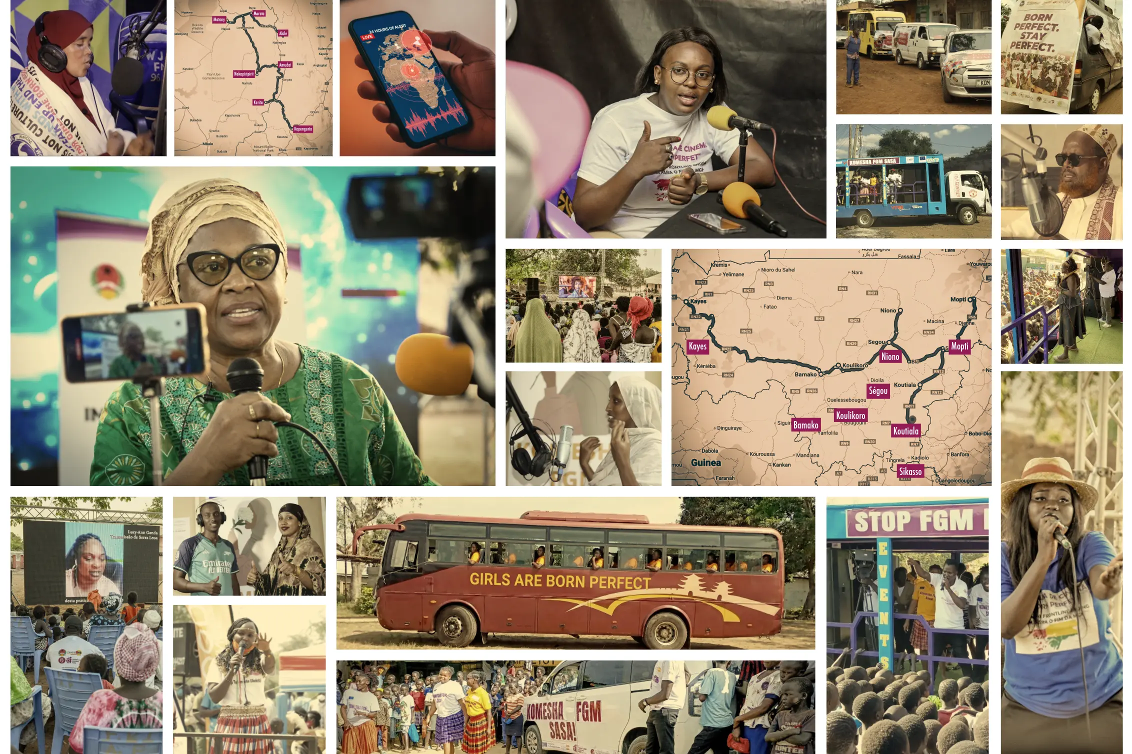 Born Perfect Caravans in Images
